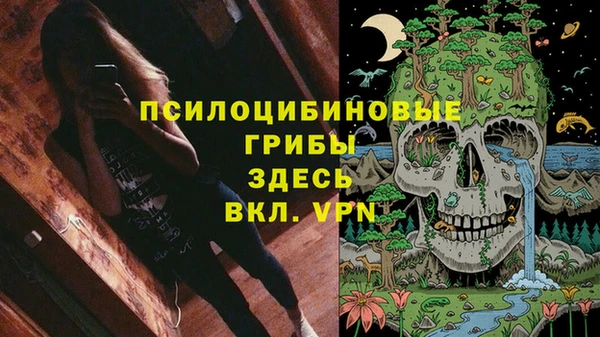 МДМА Алексеевка