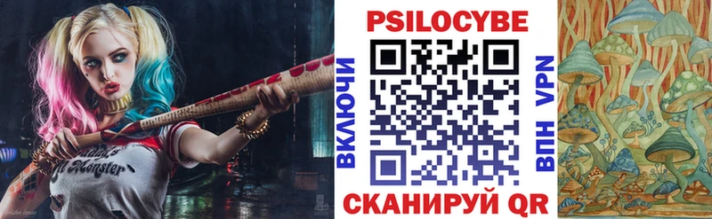 Псилоцибиновые грибы Psilocybine cubensis  где купить наркоту  Зеленоградск 