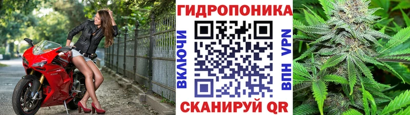 Бошки Шишки OG Kush Зеленоградск